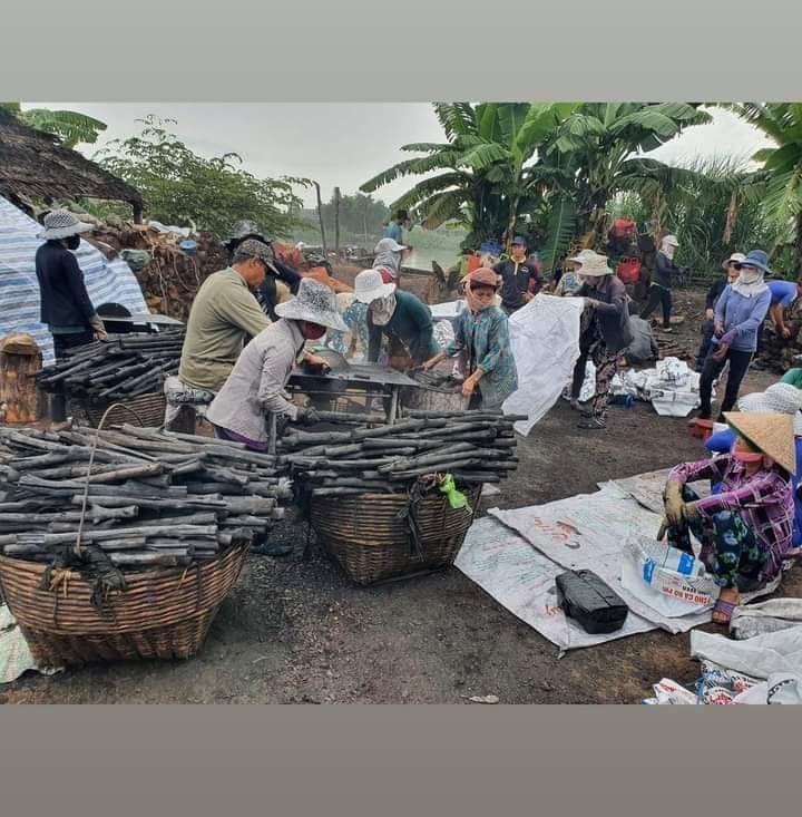 Bí Quyết Chọn Mua Than Củi: Tìm Hiểu Về 3 Cửa hàng Gía Rẻ Tại Bình Thạnh